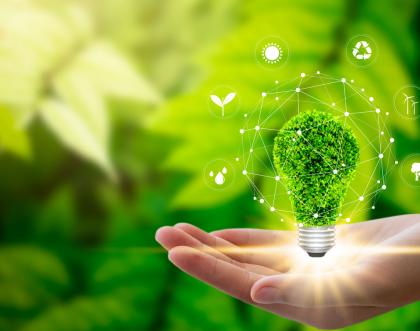 Cover image of Taking care of our planet: sustainability and the ERC 